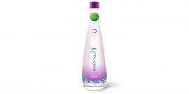 coconut water with mangosteen  glass bottle 300ml